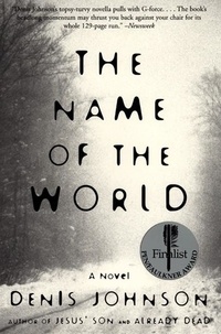 Denis Johnson - The Name of the World - A Novel.