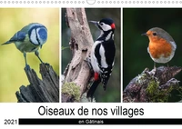 Oiseaux de nos villages en Gâtinais (Calendrier mural 2021 DIN A3 horizontal)