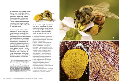 La santé par les abeilles. Bienfaits et limites de l'apithérapie