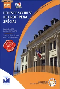 Fiches de synthèse de droit pénal spécial