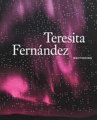 Denise Markonish - Teresita Fernandez.
