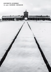 Auschwitz-Birkenau vu par Raymond Depardon