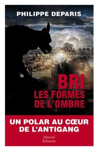 BRI, les formes de l'ombre