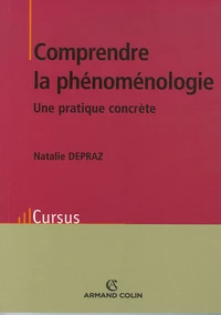 Comprendre la phénoménologie