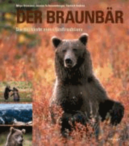 Der Braunbär - Die Rückkehr eines Großraubtiers.