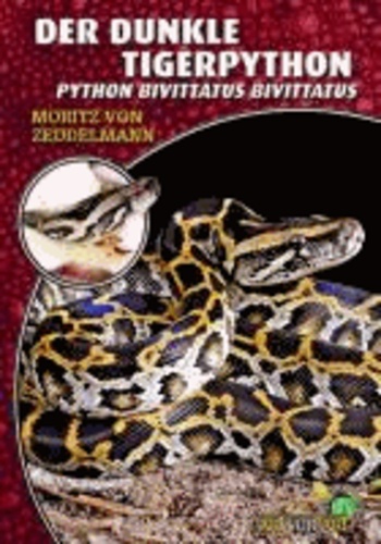 Der dunkle Tigerpython - Python bivittatus bivittatus.