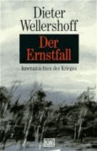 Der Ernstfall - Innenansichten des Krieges.