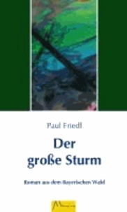 Der große Sturm - Roman aus dem Bayerischen Wald.