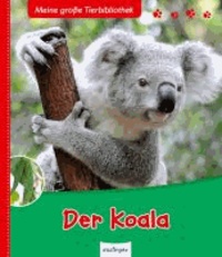 Der Koala.