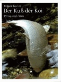 Der Kuß der Koi - Prosa und Photos.