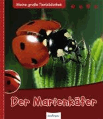 Der Marienkäfer.