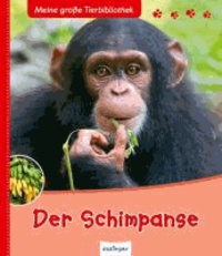 Der Schimpanse.
