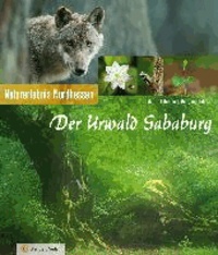 Der Urwald Sababurg - Naturerlebnis Nordhessen.