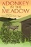 A Donkey in the Meadow. Tales from a Cornish Flower Farm