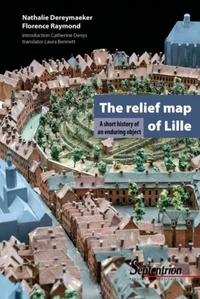 The relief map of Lille