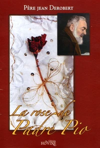 La rose de Padre Pio