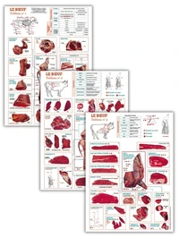 Pack La découpe du bœuf