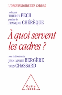A quoi servent les cadres?