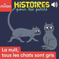 La nuit tous les chats sont gris