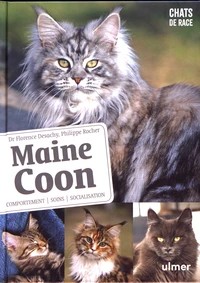 Maine Coon