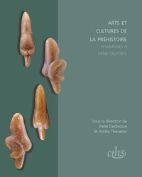 Arts et cultures de la préhistoire