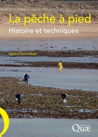 La pêche à pied