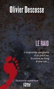 Le raid