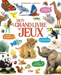 Mon grand livre de jeux