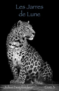 Trois âmes, trois femmes, une destinée - Livre 3