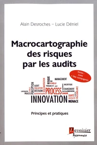 Macrocartographie des risques par les audits