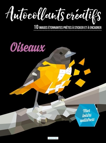  Dessain et Tolra - Autocollants créatifs oiseaux - 10 images étonnantes prêtes à sticker et à encadrer.
