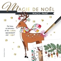 Lire des livres en ligne à télécharger gratuitement Magie de Noël  - Avec un pinceau inclus par Dessain et Tolra iBook MOBI 9782295012678