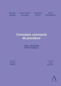 Formulaire commenté de procédure