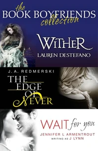 The Book Boyfriends Collection