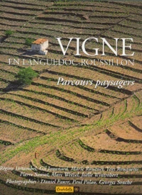 Vigne en Languedoc-Roussillon