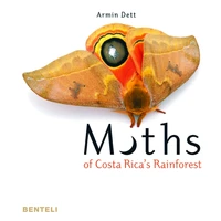 Moths of Costa Rica's rainforest