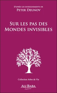 Sur les pas des mondes invisibles