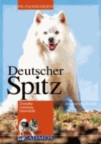 Deutscher Spitz - Charakter, Erziehung, Gesundheit.