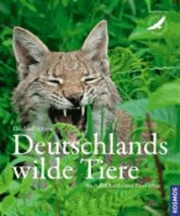 Deutschlands wilde Tiere - Wo Adler, Luchs und Biber leben.