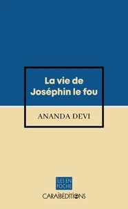 La vie de Joséphin le fou