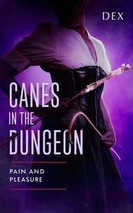 Canes in the Dungeon: Pain and Pleasure