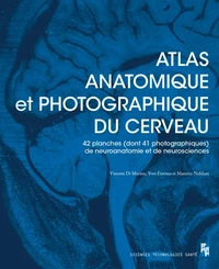 Atlas anatomique et photographique du cerveau