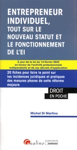 Entrepreneur individuel, tout sur le nouveau statut et le fonctionnement de l'EI