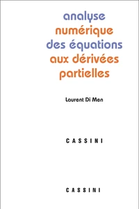 Analyse numérique des équations aux dérivées partielles