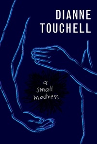 Dianne Touchell - A Small Madness.