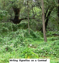 Writing Vignettes on a Gumleaf