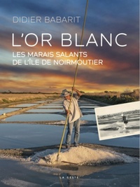 Didier Babarit - L'or blanc - les marais salants de l'ile de noirmoutier.