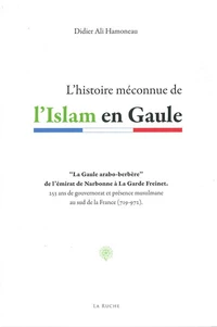 L'histoire méconnue de l'Islam en Gaule (VIIIe-Xe siècle)