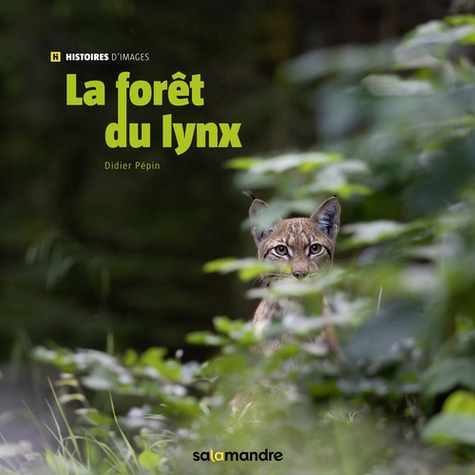 Didier Pépin - La forêt du lynx.
