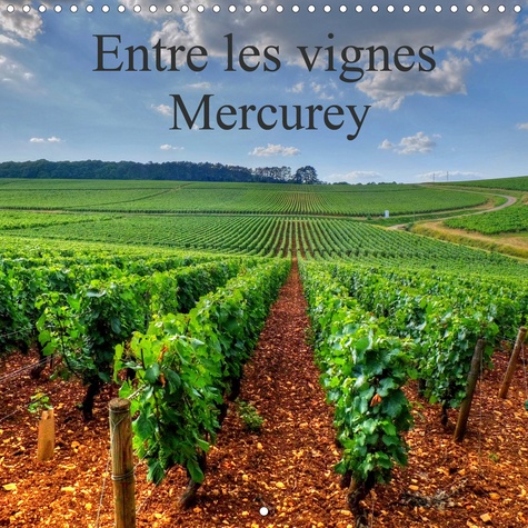 CALVENDO Art  Entre les vignes Mercurey (Calendrier mural 2020 300 × 300 mm Square). Vignoble de Mercurey en plein coeur de la Côte Chalonnaise (Calendrier mensuel, 14 Pages )